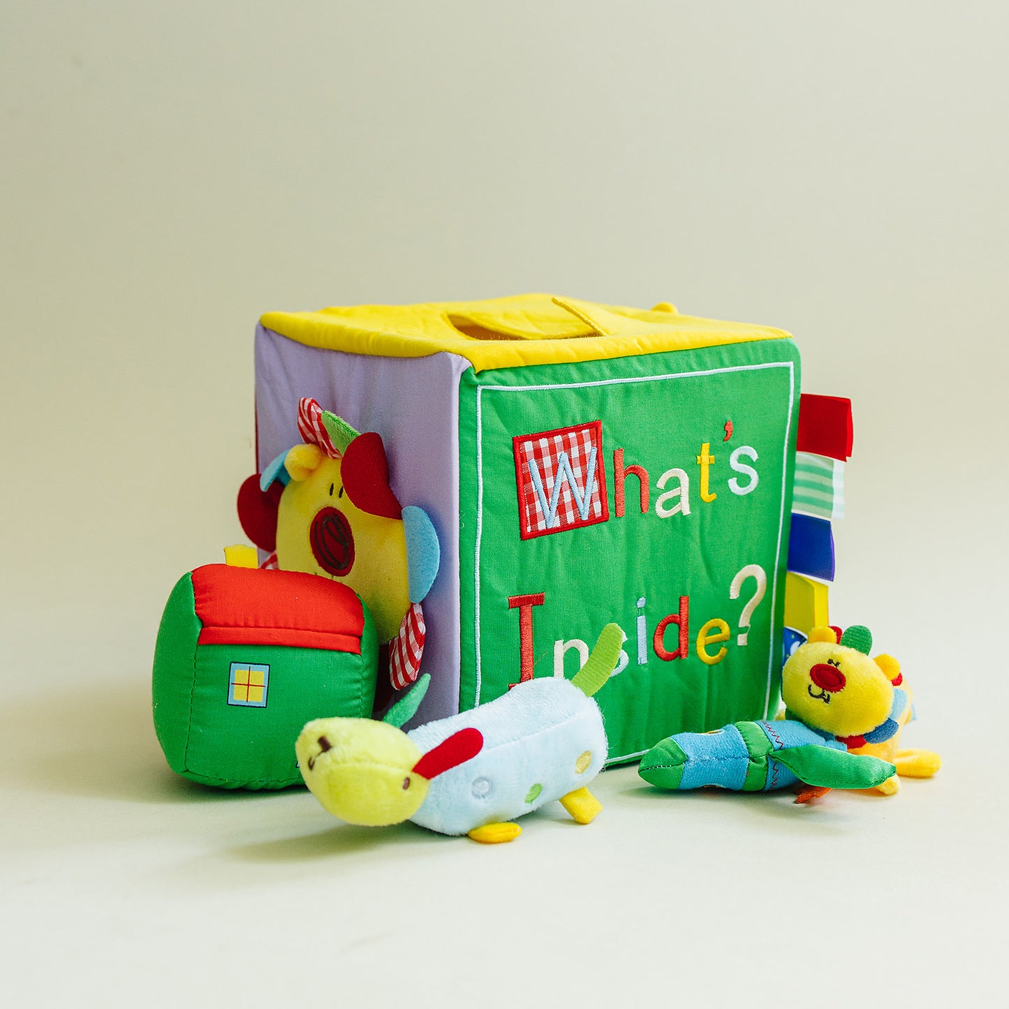 Surprise What's Inside Box with Sensory Toys