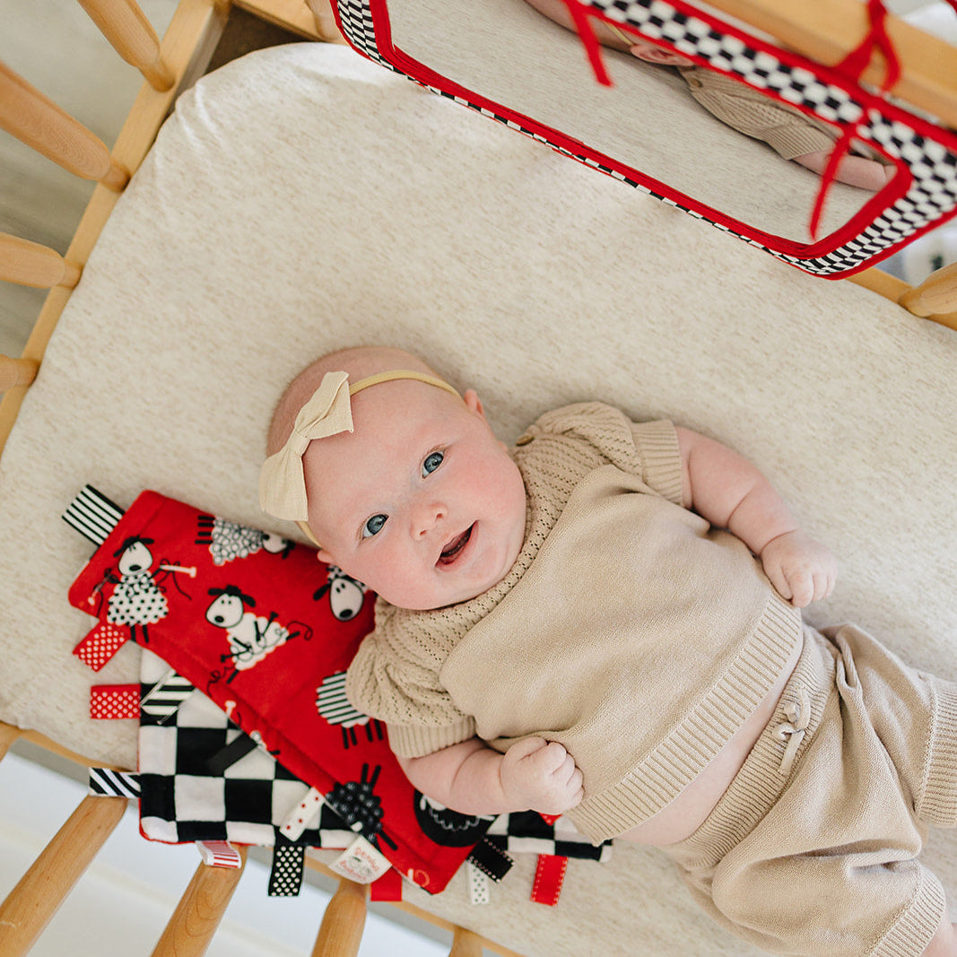 Reversible Sleepy Sheep Lovey with Taggies (12" Square)