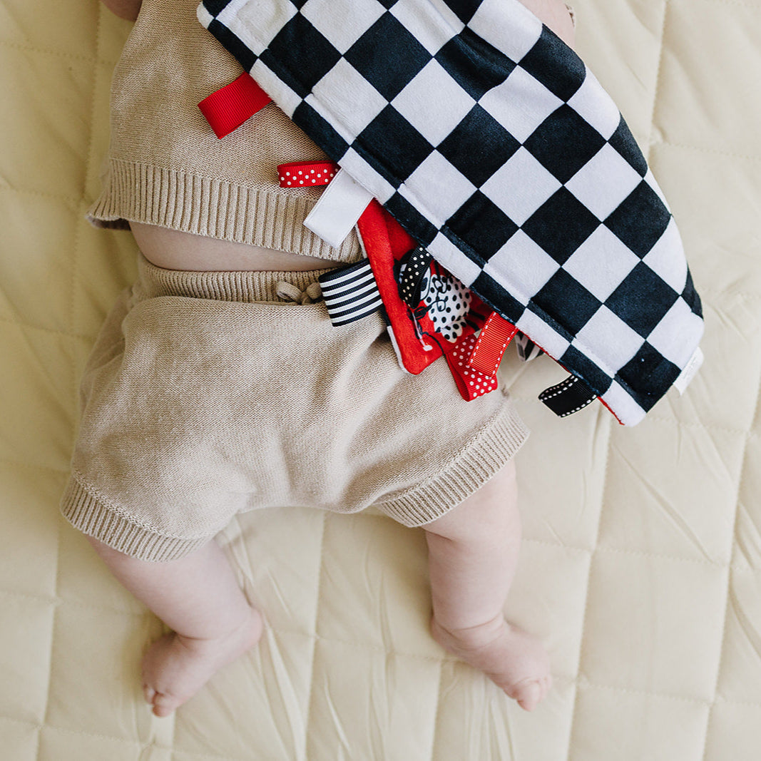 Reversible Sleepy Sheep Lovey with Taggies (12" Square)