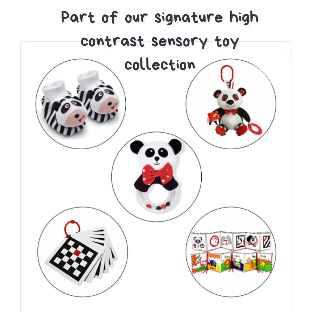 BWR Collection of Genius Babies Toys