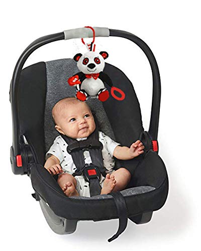 Panda Teether & Multi-sensory Plush Toy (8" Tall)