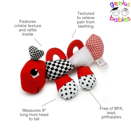 Caterpillar Teething and Sensory Toy in Black, White and Red, 9"