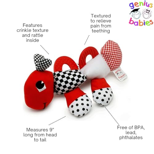 Caterpillar Teething and Sensory Toy in Black, White and Red, 9"