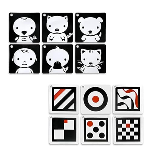 Genius Baby Toys | The Original Black, White, Red Flashcards for Baby and Infant, High Contrast Pictures for Stimulation and Play, Set of 6, with Stroller Clip