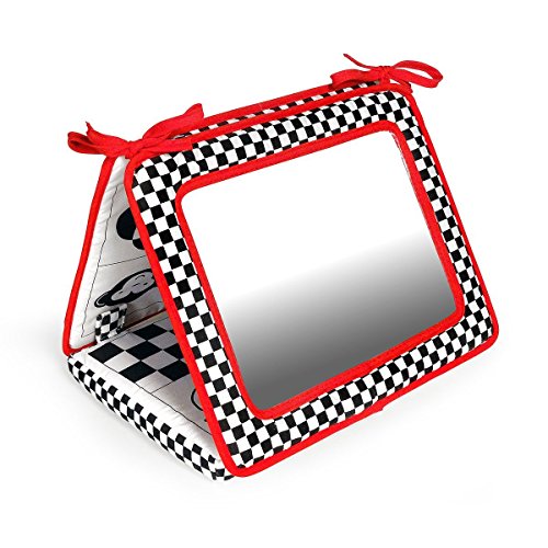 Reversible, Double Sided, Crib & Floor Mirror