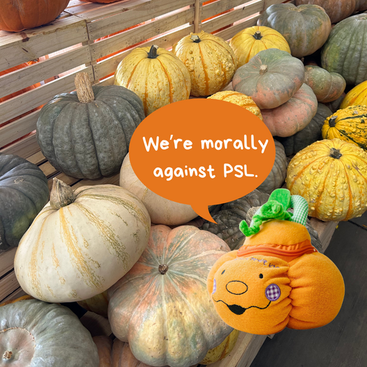 Silly Pumpkin Posts