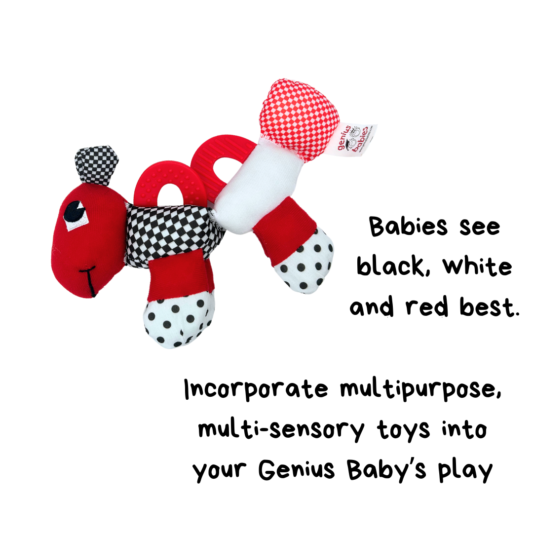 Baby s First Caterpillar Pal Black White Red Teether Toy