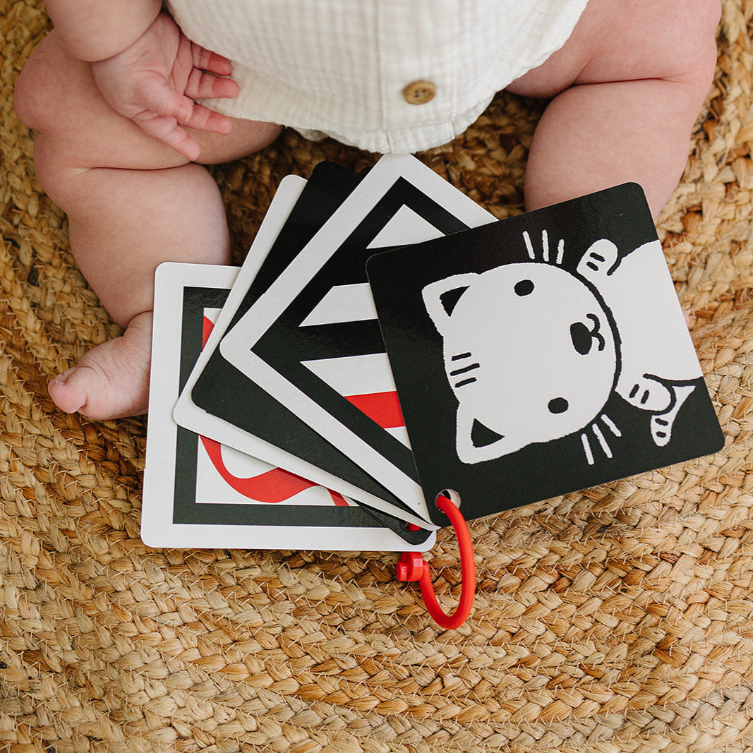 The Original, High Contrast (Black, White, Red) Flashcards for Baby – Genius Babies Toys the-original-high-contrast-black-white-red-flashcards-for-baby-genius-babies-toys