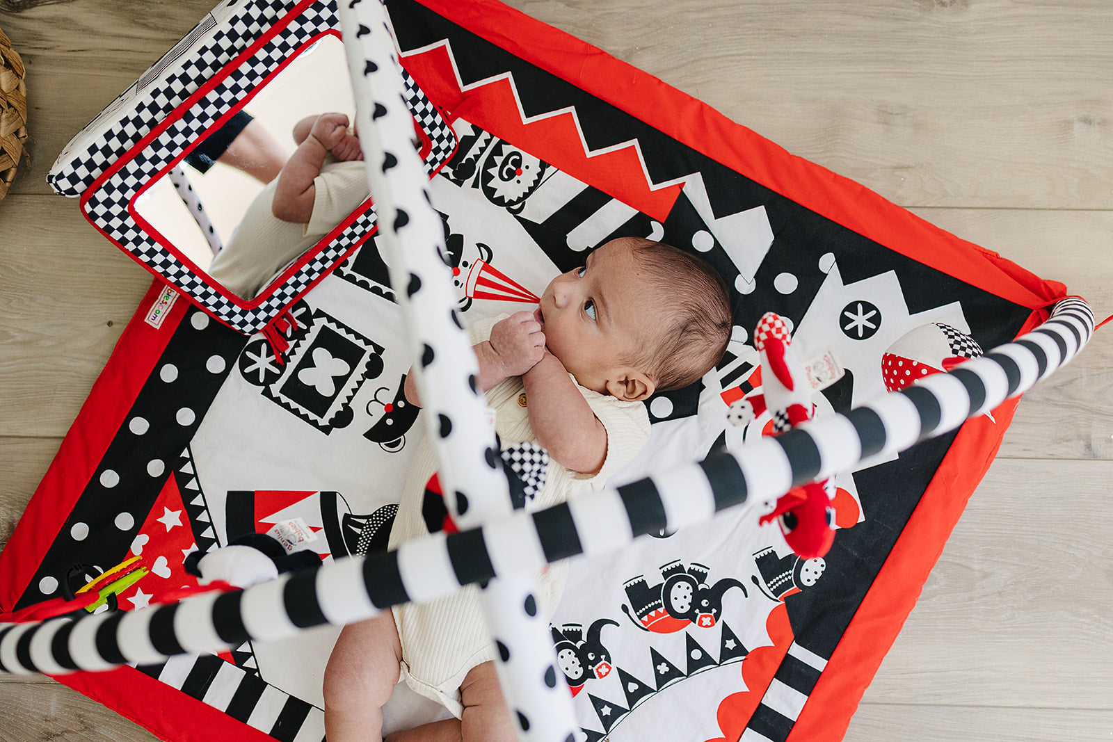 Genius Babies: High Quality, Developmental-Based Toys for Babies ...