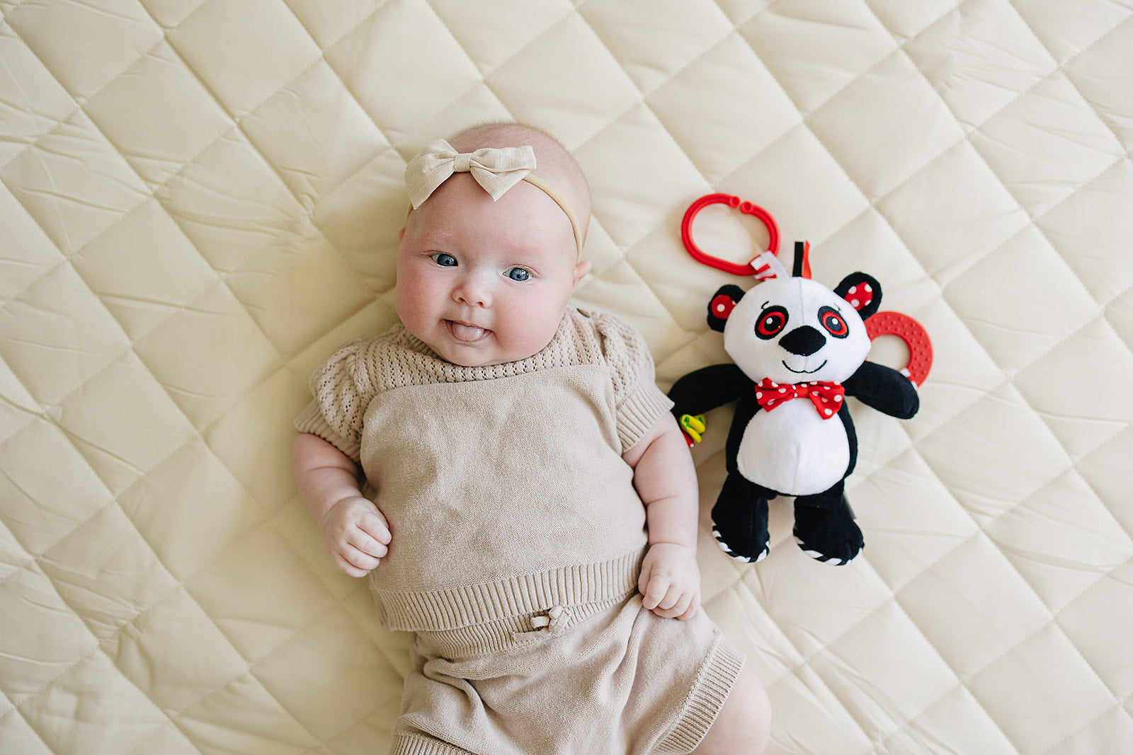 Panda Teether & Multi-sensory Plush Toy 