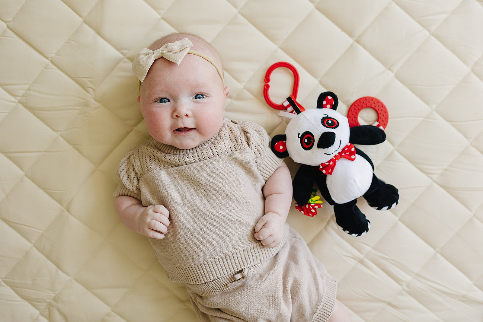 Panda Teether & Multi-sensory Plush Toy 