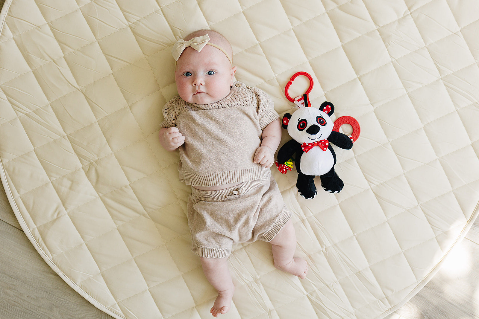 Panda Teether & Multi-sensory Plush Toy 