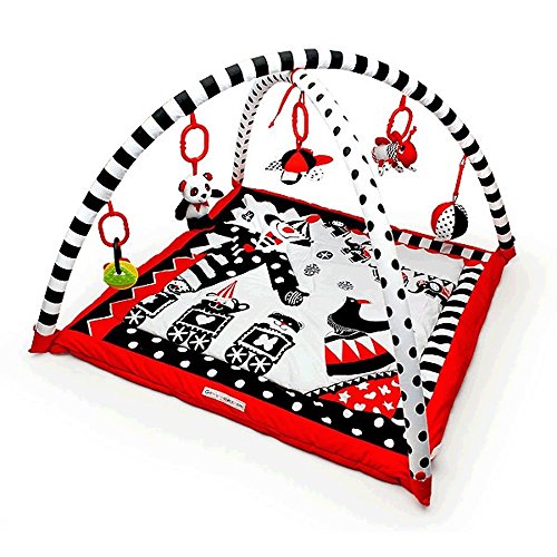 The Original Black, White and Red Play Gym, Activity Mat and Center for Baby to Toddler