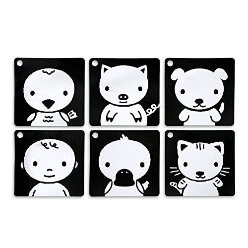 Genius Baby Toys | The Original Black, White, Red Flashcards for Baby and Infant, High Contrast Pictures for Stimulation and Play, Set of 6, with Stroller Clip