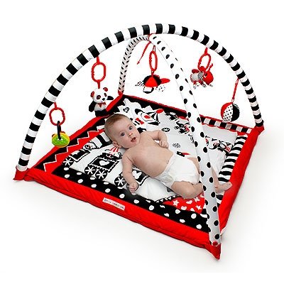 The Original Black, White and Red Play Gym, Activity Mat and Center for Baby to Toddler