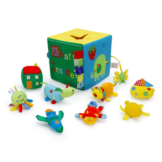 Surprise What's Inside Box with Sensory Toys